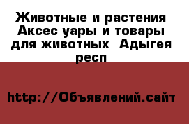 Животные и растения Аксесcуары и товары для животных. Адыгея респ.